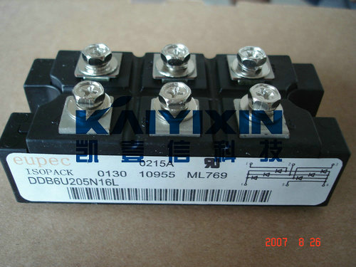 DDB6U205N16L (1)